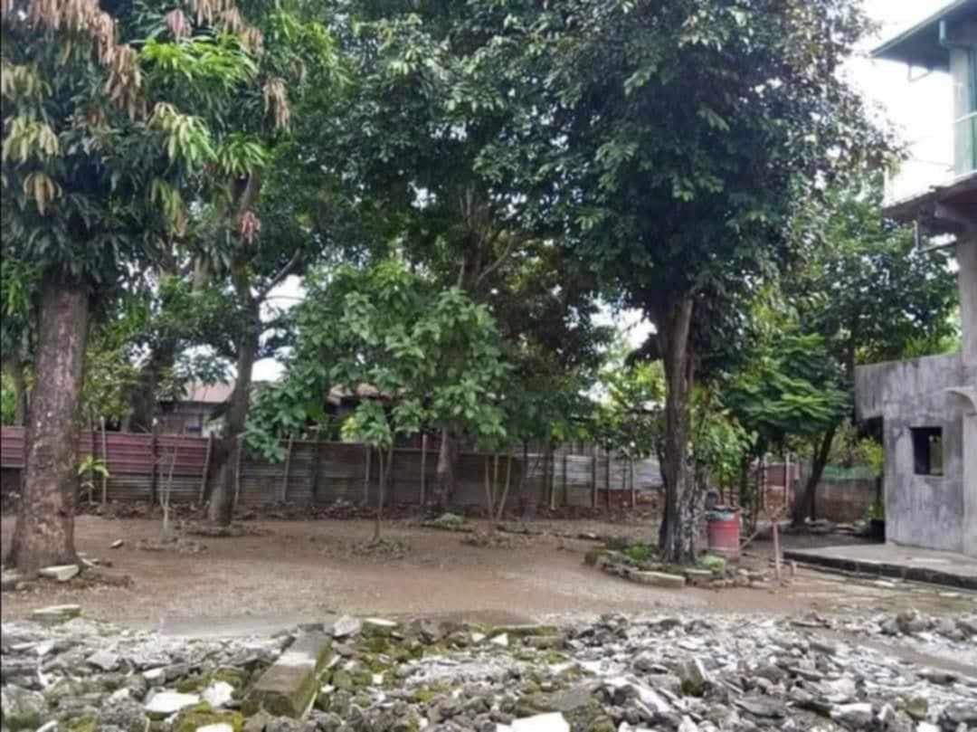 For Sale House and Lot in Binangonan, Rizal, Property, Rentals, House ...