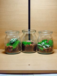 (Category: ) located in . Submitted by terraplenty (Listing ID 1347183039, Image 1). Description: .