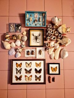 (Category: ) located in . Submitted by mollykins (Listing ID 1347321363, Image 1). Description: .