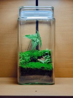 (Category: ) located in . Submitted by terraplenty (Listing ID 1347182324, Image 1). Description: .