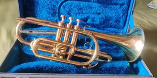 (Category: ) located in . Submitted by oldbandroom (Listing ID 1347337306, Image 1). Description: .