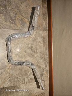 (Category: ) located in . Submitted by paullow1 (Listing ID 1347597478, Image 1). Description: .