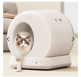 （分類：）位於 。 由 goodluckjy 提交（商品編號 1347480118，圖片 1）。簡介： 。