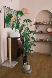(Category: ) located in . Submitted by freelion.12e305 (Listing ID 1347499151, Image 1). Description: .