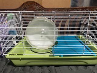 (Category: ) located in . Submitted by ecscheo (Listing ID 1347570005, Image 1). Description: .