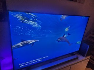 (Category: ) located in . Submitted by sherro74 (Listing ID 1347657068, Image 1). Description: .