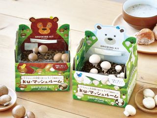 （分類：）位於 。 由 buy-friendly 提交（商品編號 1347771947，圖片 1）。簡介： 。