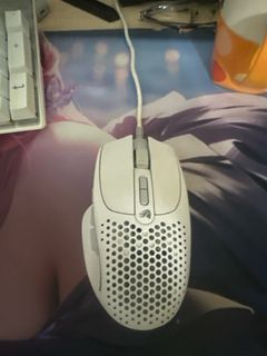 Model I 264081499688706110