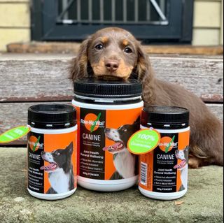 (Category: ) located in . Submitted by GLOBALPETCOMPANY (Listing ID 1347685127, Image 1). Description: .