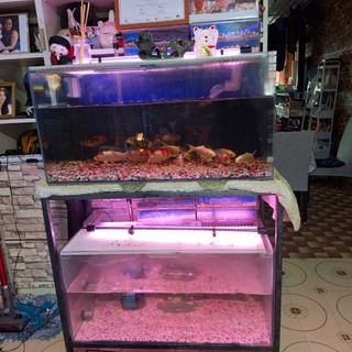 (Category: ) located in . Submitted by hulma_decor (Listing ID 1347946419, Image 1). Description: .