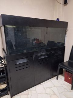 (Category: ) located in . Submitted by absolutv (Listing ID 1348022098, Image 1). Description: .