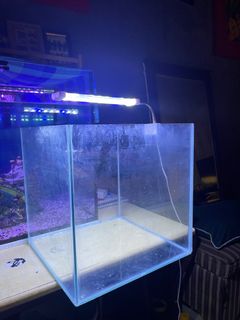 (Category: ) located in . Submitted by addyrith (Listing ID 1347940749, Image 1). Description: .
