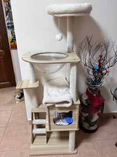 (Category: ) located in . Submitted by bravenewworld (Listing ID 1347966164, Image 1). Description: .