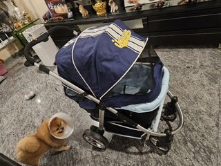 (Category: ) located in . Submitted by petsislife (Listing ID 1347985848, Image 1). Description: .