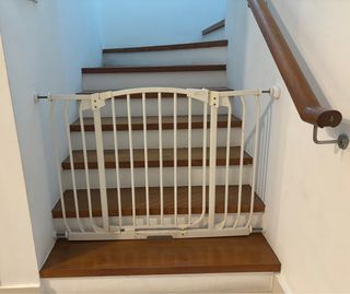 (Category: ) located in . Submitted by sunshine.877 (Listing ID 1347846309, Image 1). Description: .