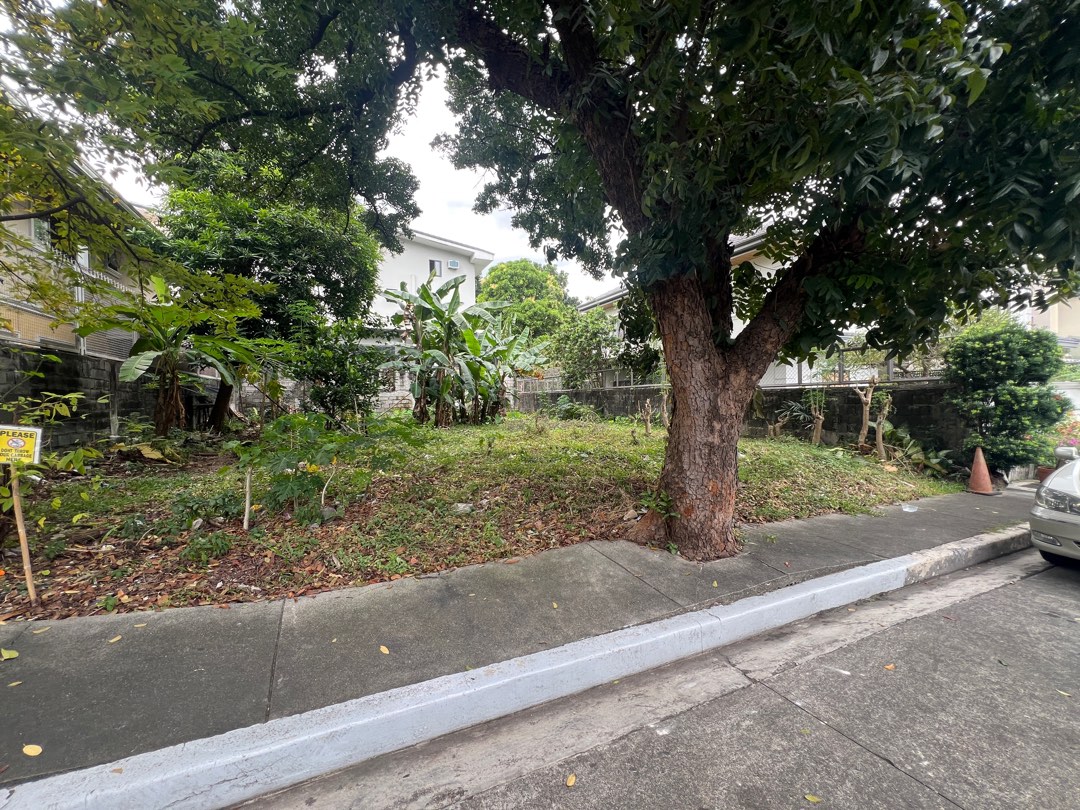 (Category: ) located in . Submitted by brokerhanstaneo_09178038728 (Listing ID 1342419680, Image 1). Description: .