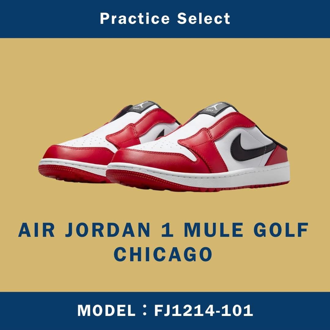 Nike Air Jordan 1 Mule Golf 
