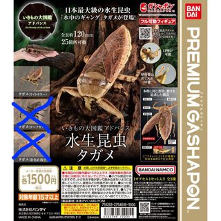 （分類：）位於 。 由 watchwatch251 提交（商品編號 1341445330，圖片 1）。簡介： 。