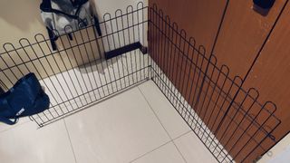 (Category: ) located in . Submitted by lenleko (Listing ID 1348131365, Image 1). Description: .