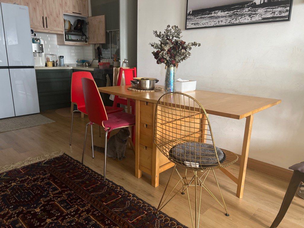 Nordon Tale IKEA Norden table, Furniture & Home Living, Furniture, Tables & Sets on ...