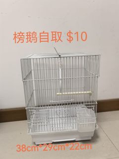 (Category: ) located in . Submitted by gnohiah (Listing ID 1348089519, Image 1). Description: .