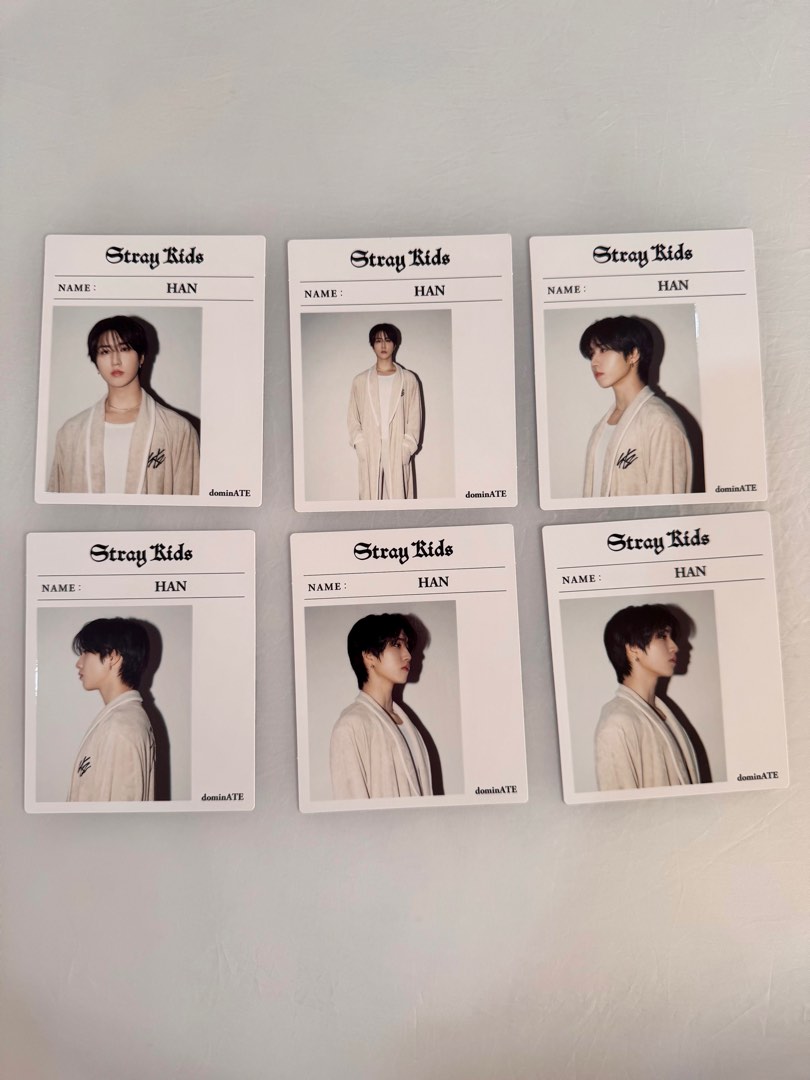 Stray Kids HAN INSTANT PHOTO 『Stray Kids World Tour ＜dominATE JAPAN