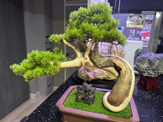 (Category: ) located in . Submitted by ornamental_rocks (Listing ID 1348323993, Image 1). Description: .