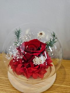 (Category: ) located in . Submitted by diy_diary (Listing ID 1348358973, Image 1). Description: .