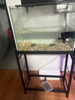 (Category: ) located in . Submitted by mascotaace (Listing ID 1348283449, Image 1). Description: .