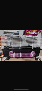 (Category: ) located in . Submitted by chek_t (Listing ID 1348405850, Image 1). Description: .