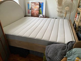 (Category: ) located in . Submitted by mellygyro (Listing ID 1348271831, Image 1). Description: .