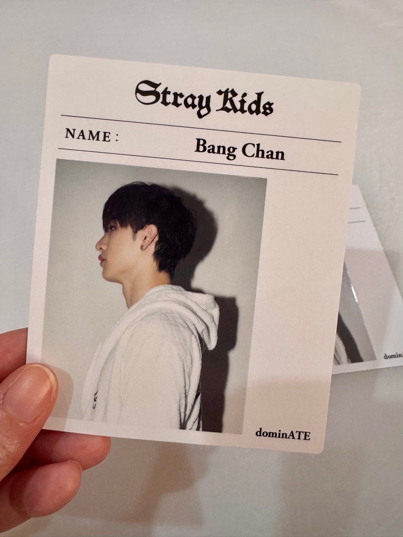 Stray Kids Bang Chan INSTANT PHOTO 『Stray Kids World Tour ＜dominATE