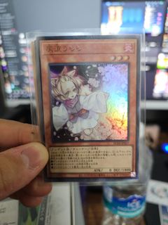 (Category: ) located in . Submitted by Resolute (Listing ID 1348410695, Image 1). Description: .