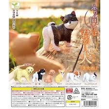 （分類：）位於 。 由 nasa8 提交（商品編號 1345102749，圖片 1）。簡介： 。