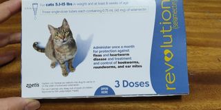 (Category: ) located in . Submitted by petstyle888 (Listing ID 1345002351, Image 1). Description: .