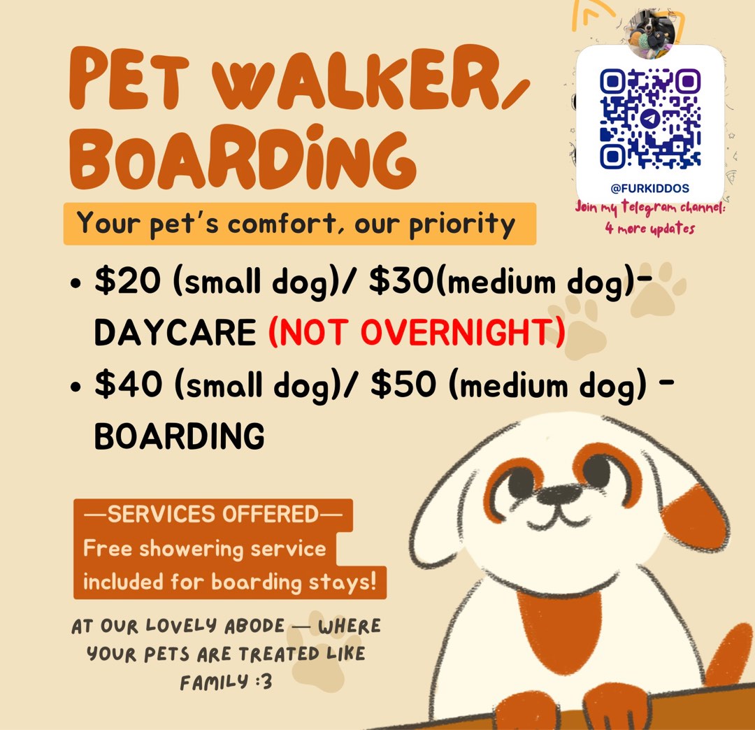 Pet Boarding Facility Overnight Boarding Boarding Services Dog