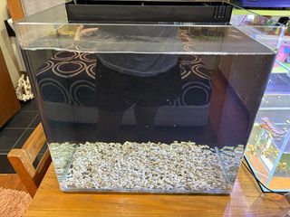 (Category: ) located in . Submitted by marcustzq (Listing ID 1345080607, Image 1). Description: .