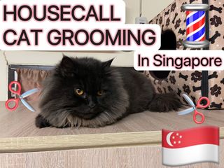 (Category: ) located in . Submitted by pet_grooming_sg (Listing ID 1344983015, Image 1). Description: .