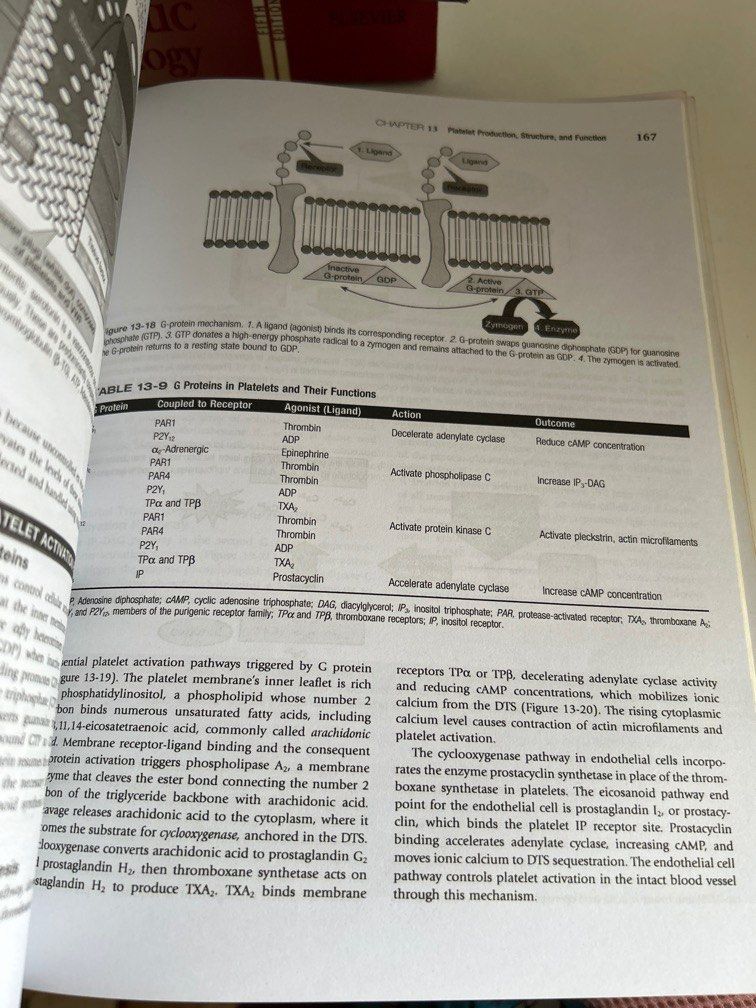 RODAK hematology clinical principles and application 4th edition (Category: Textbooks) located in Quezon City. Submitted by osmosells (Listing ID 1344942989, Image 2). Description: — dm me for more photos — minimal highlights .