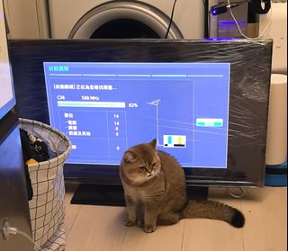 （分類：）位於 。 由 ngcrazy813 提交（商品編號 1345038925，圖片 1）。簡介： 。