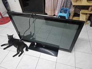 (Category: ) located in . Submitted by jhlee5445 (Listing ID 1344957557, Image 1). Description: .