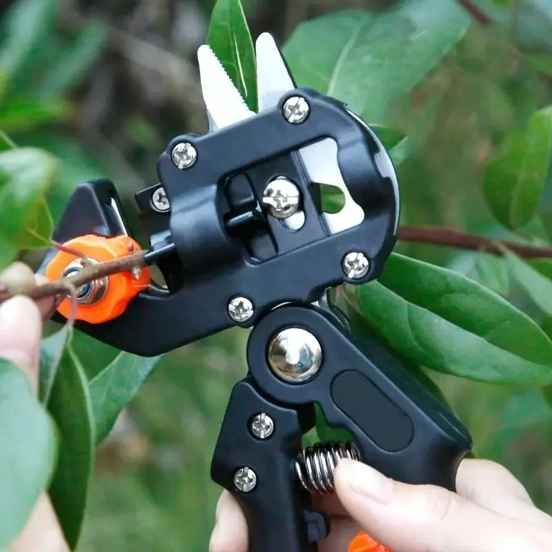 1 Set Professional Farming Pruning Shears Grafting Scissor Garden Fruit ...