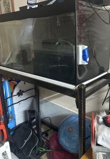 (Category: ) located in . Submitted by shaoxxx (Listing ID 1348618808, Image 1). Description: .