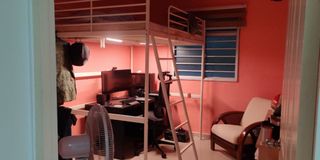 (Category: ) located in . Submitted by miniit (Listing ID 1348499365, Image 1). Description: .