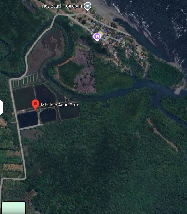 Oriental Mindoro agricultural lot (Category: Lot) located in Quezon City. Submitted by xfiremaxx (Listing ID 1348493715, Image 1). Description: Located at Brgy Navotas, Calapan, Oriental Mindoro. 5 titles. 22.1313 hectares total. 100 per sqm or 1M per hectare. Agricultural. Ideal for fish pond due to water access. PHP22,131,300.00 more or less.