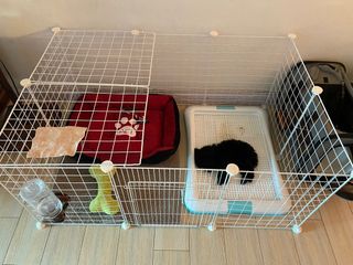 (Category: ) located in . Submitted by sashahoe (Listing ID 1348482351, Image 1). Description: .