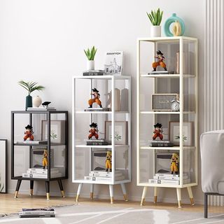 Display Cabinet & Wardrobe Collection item 3