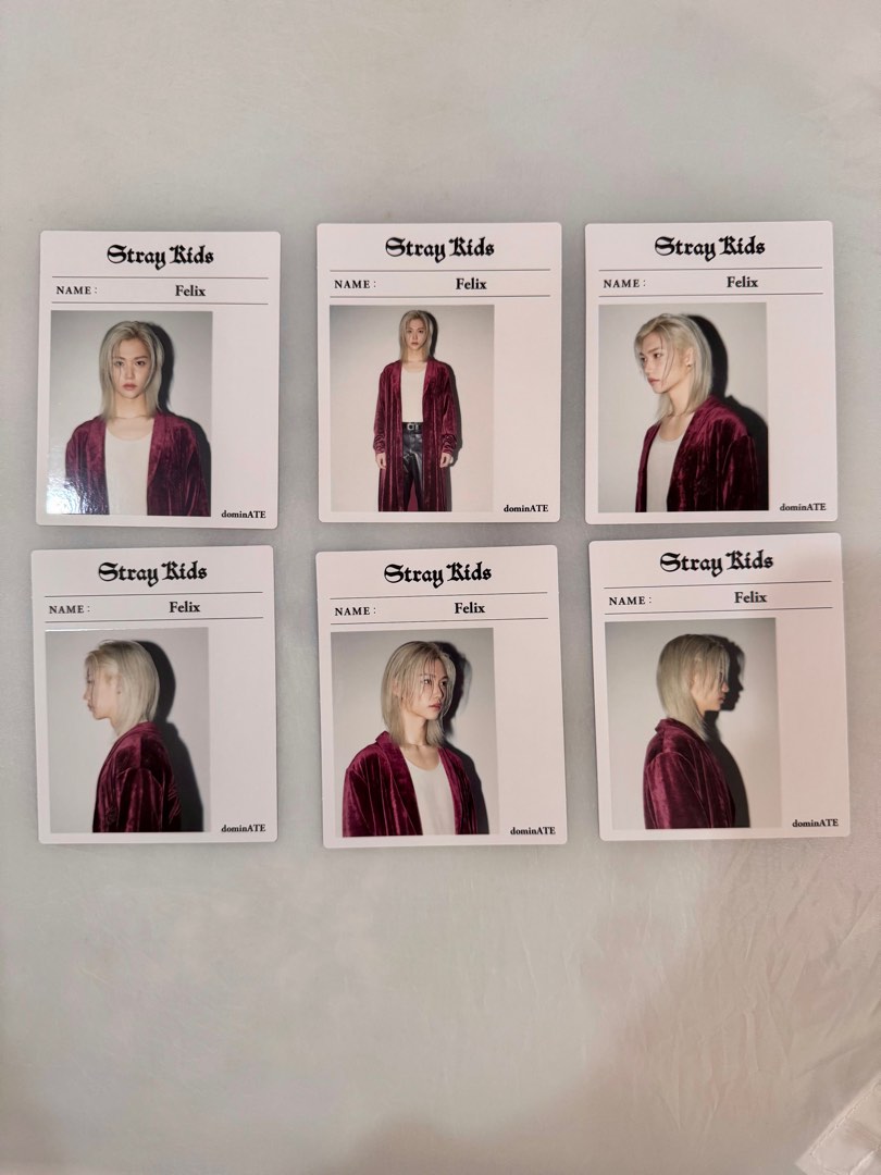 Stray Kids Felix INSTANT PHOTO 『Stray Kids World Tour ＜dominATE