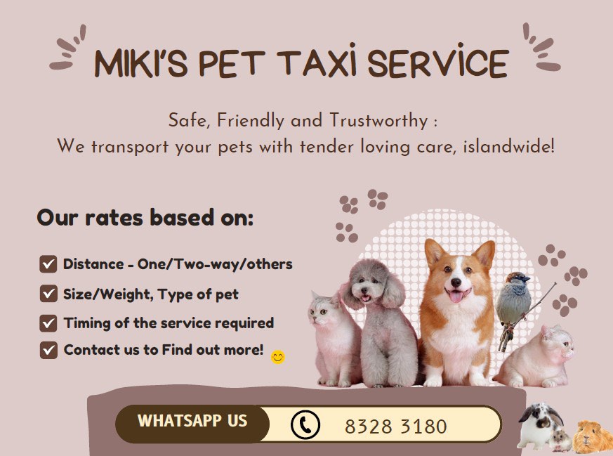 Pet Sitter Large Pet Taxi Petax Pets Taxi PSD By Templines ThemeForest