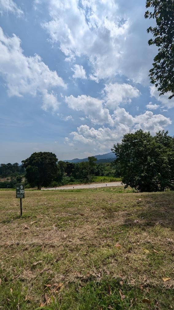 (Category: ) located in . Submitted by empuno (Listing ID 1348762053, Image 1). Description: .